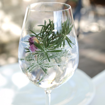 Gin-Tonic mit Gin Mare und einem Rosmarinzweig garniert 