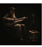 Blue Vinyl Seasick Steve Blues In Mono
