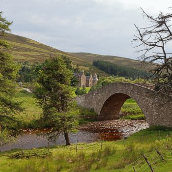 Schottland, Lowlands